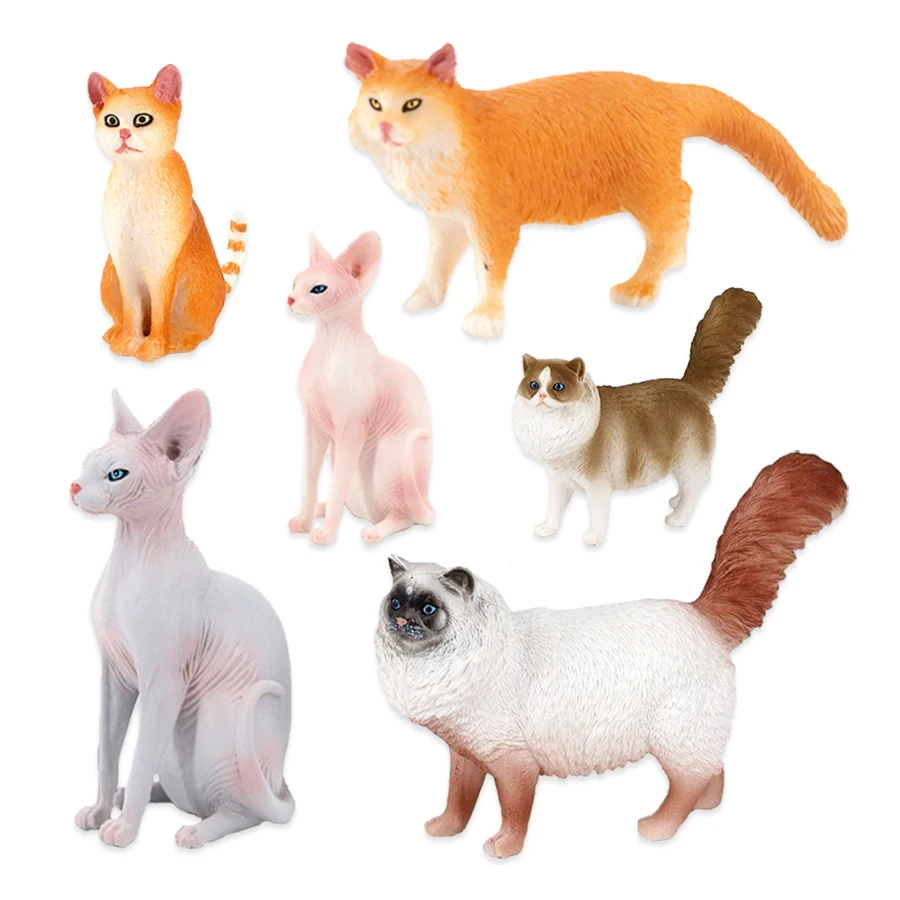 Modellini di Gatti, Giocattoli - Sandbox Play Set recensione e prezzo