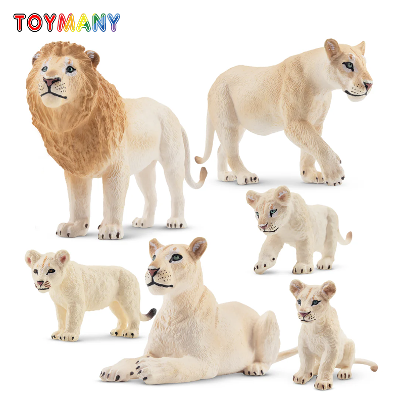 6 pezzi simulazione leone bian - Sandbox Play Set recensione e prezzo